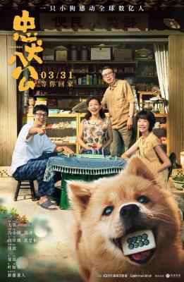 忠犬八公中国版 2023这是一只小狗感动全球数亿人的故事 豆瓣7.7 