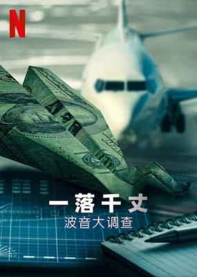 一落千丈：波音大调查 2022豆瓣评分8.2分，网飞出品纪录片佳作  