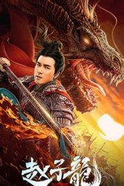 赵子龙 (2020) 国语无中字 