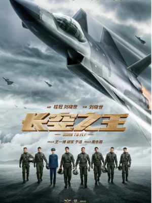 长空之王 2023国内硬核大片《长空之王》是一部能引人入胜的军事励志成长剧 