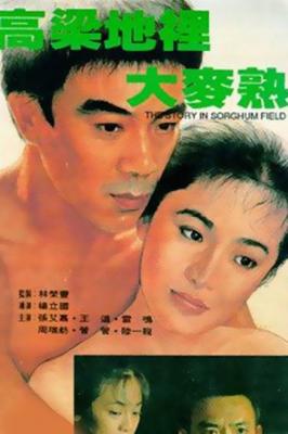 高粱地里大麦熟 (1984) 高清版 豆瓣7.8 