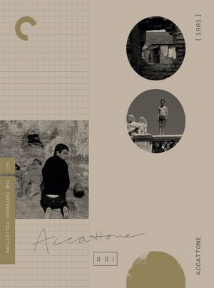 乞丐/寄生虫 ACCATTONE (1961) CC标准版 豆瓣8.3 