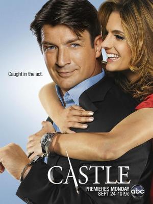 灵书妙探 第五季 CASTLE SEASON 5‎ (2012) 3碟 高清版 豆瓣8.4 