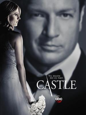 灵书妙探 第七季 CASTLE SEASON 7‎ (2014) 3碟 高清版 豆瓣8.4 
