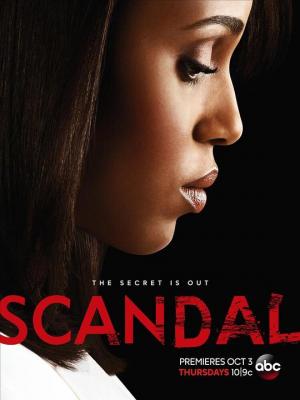 丑闻/丑闻风暴 第三季 SCANDAL SEASON 3‎ (2013) 2碟 豆瓣7.2 