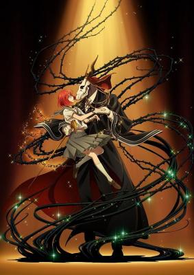 魔法使的新娘第1-2季 4碟装 TV全集+OAD全集+SP+待星之人篇 2023 日本经典奇幻动画 