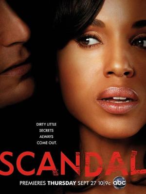 丑闻/丑闻风暴 第二季 SCANDAL SEASON 2‎ (2012) 3碟 豆瓣7.5 