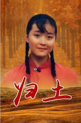 归土 (1995) 港产片 高清版 豆瓣8.0 