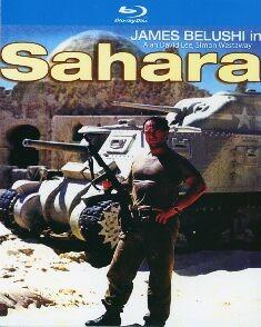 撒哈拉沙漠狙击战/沙漠英豪 SAHARA‎ (1995) 高清版 豆瓣8.1 