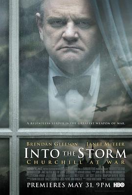 不惧风暴 INTO THE STORM‎ (2009) 高清版 豆瓣7.6 
