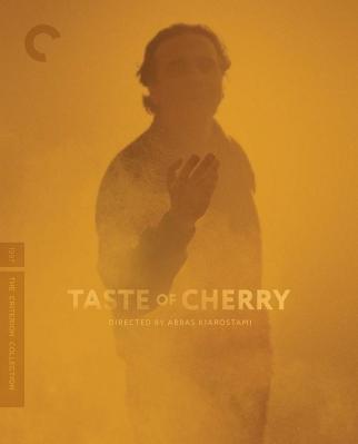 樱桃的滋味/樱桃之味 TASTE OF CHERRY (1997) 豆瓣8.0 