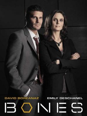识骨寻踪 第一季 BONES SEASON 1 (2005) 2碟 正式版 豆瓣8.6 