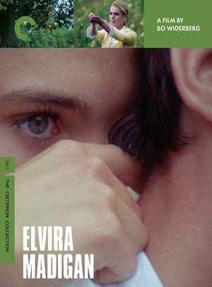 BD50-2D 今生今世/鸳鸯恋 ELVIRA MADIGAN (1967) CC标准版 豆瓣7.5 