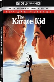 4K-UHD 龙威小子/小子难缠/空手道少年 THE KARATE KID (1984) 豆瓣6.9 