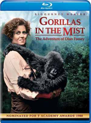 BD50-2D 迷雾森林十八年/雾锁危情 GORILLAS IN THE MIST: THE STORY OF DIAN FOSSEY (1988) 豆瓣8.0 