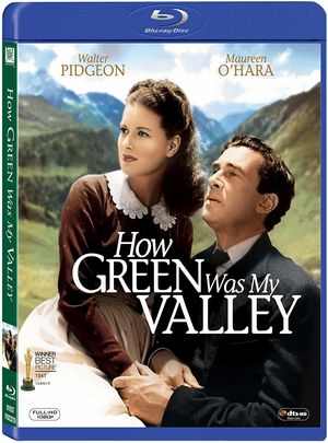 BD50-2D 青山翠谷/父慈子孝 HOW GREEN WAS MY VALLEY (1941) 豆瓣8.3 