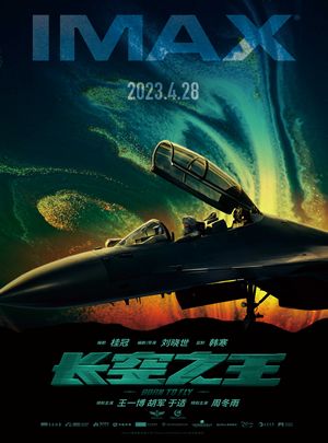 BD50-2D 长空之王 (2023) 豆瓣6.6 