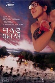 流浪者之歌/茨冈人的时代 (1988) 豆瓣9.1 