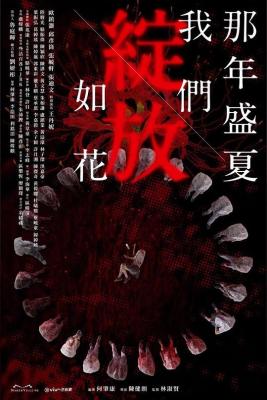 那年盛夏 我们绽放如花 2碟装 2023最新惊悚悬疑港剧 