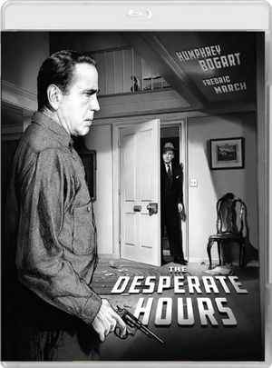 BD50 危急时刻 - The Desperate Hours 1955 