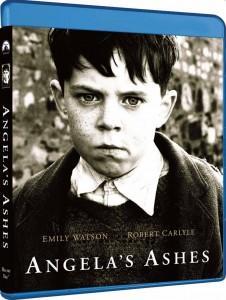 安琪拉的灰烬/天使的孩子 ANGELA'S ASHES (1999) 豆瓣8.3  