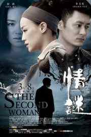 情谜 2012 豆瓣5.6 