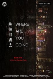 你往何处去 2016 