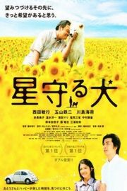 BD50 星守之犬/星星守护犬 2011 