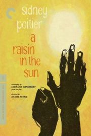 BD50 阳光下的葡萄干 A RAISIN IN THE SUN (1961) 豆瓣8.0 CC标准版 