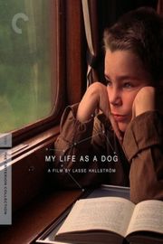 BD50 狗脸的岁月 Mitt liv som hund 1985 CC标准版 