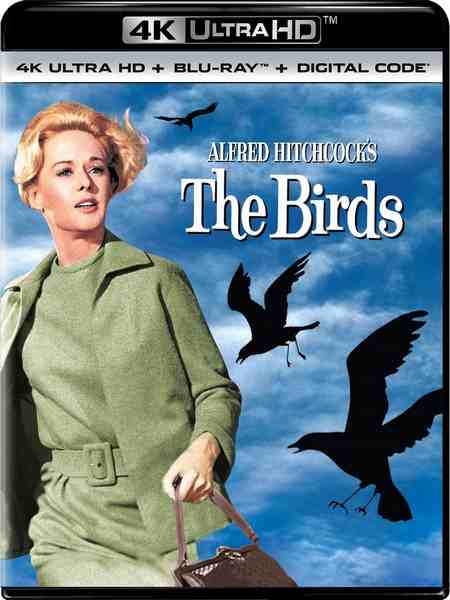 4K UHD 群鸟 (1963) 希区柯克 豆瓣8.1 