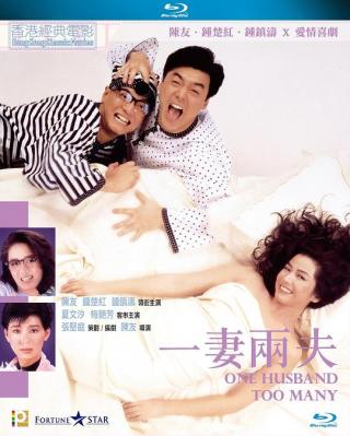 一妻两夫 (1988) 港产片 豆瓣6.4 