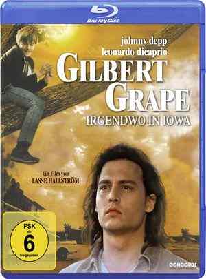 不一样的天空/恋恋情深 WHAT‘S EATING GILBERT GRAPE (1993) 豆瓣8.6  