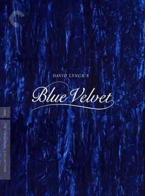 蓝丝绒/蓝色天鹅绒/蓝色夜合花 BLUE VELVET (1986) 豆瓣7.5 