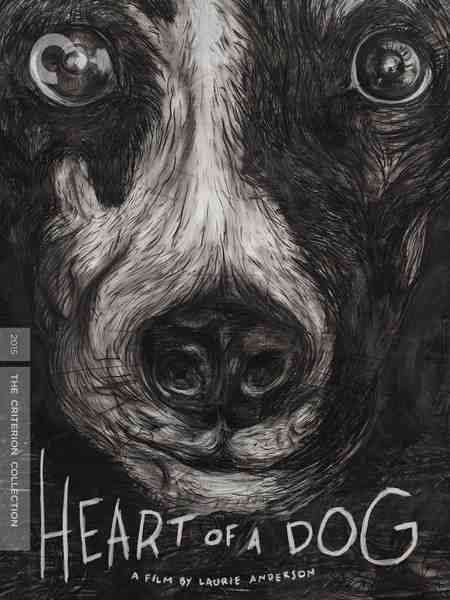 BD50 狗心/犬之心 CC收藏版 HEART OF A DOG 犬同一心(2015) 豆瓣7.9 