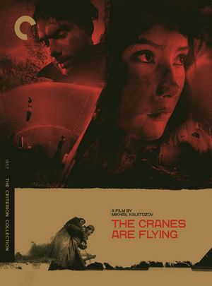 BD50 雁南飞/鹤之舞/仙鹤飞翔 THE CRANES ARE FLYING (1957) CC标准收藏版 豆瓣8.6 