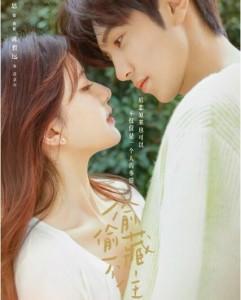 偷偷藏不住/藏不住的秘密 TV全集+特辑 (2023) 2碟 高清版  