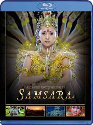 BD50-2D 轮回/天地玄黄2 SAMSARA (2011) 豆瓣9.1 