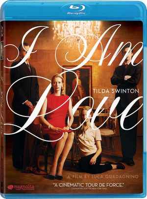我是爱/私情狂 IO SONO L'AMORE (2009) 豆瓣7.7 
