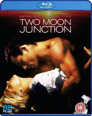 偷月情/激情交叉点 豆瓣6.4 TWO MOON JUNCTION (1988) 豆瓣6.4 