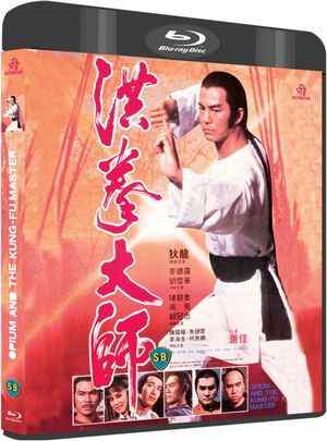 洪拳大师 (1984) 港产片 豆瓣6.7 