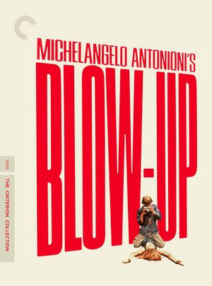 BD50 放大/春光乍泄 BLOW-UP 1966 CC标准版 豆瓣评分8.4  
