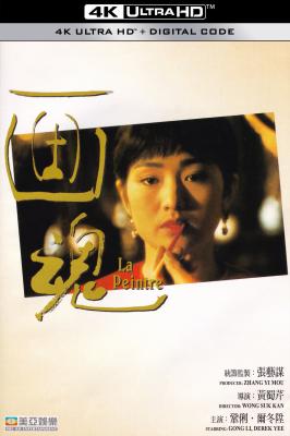4K UHD 画魂 (1994) 杜比视界 豆瓣7.3  