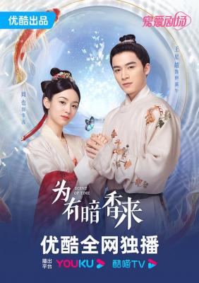 为有暗香来 3碟装 2023年最新古装女性成长疗愈剧 