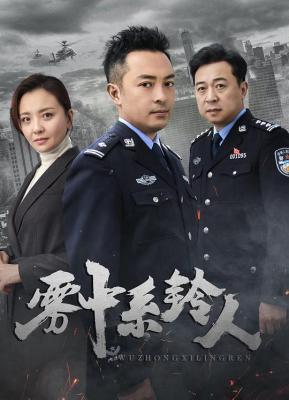 雾中系铃人 3碟装 2023年最新当代涉案剧 
