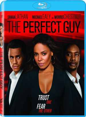 完美家伙/完美男人 THE PERFECT GUY (2015) 完美人选 