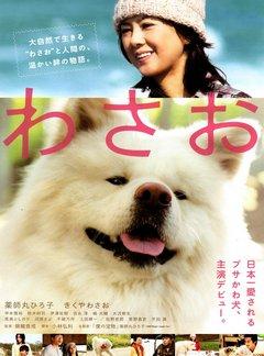 秋田犬蓬夫/松毛犬小威 (2011) 日本 豆瓣6.2 