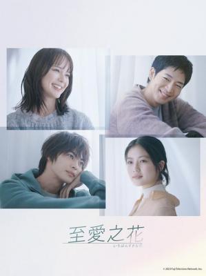 最喜欢的花 2碟装 2023讲述四个无论年龄、性别和成长环境都不一样的男女 