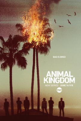 BD50-2D 野兽家族/动物王国 第一季 ANIMAL KINGDOM SEASON 1 (2016) 2碟 豆瓣7.7 