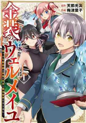 BD50-2D 金装的维尔梅 (2022) 2碟 日本 豆瓣6.3 
